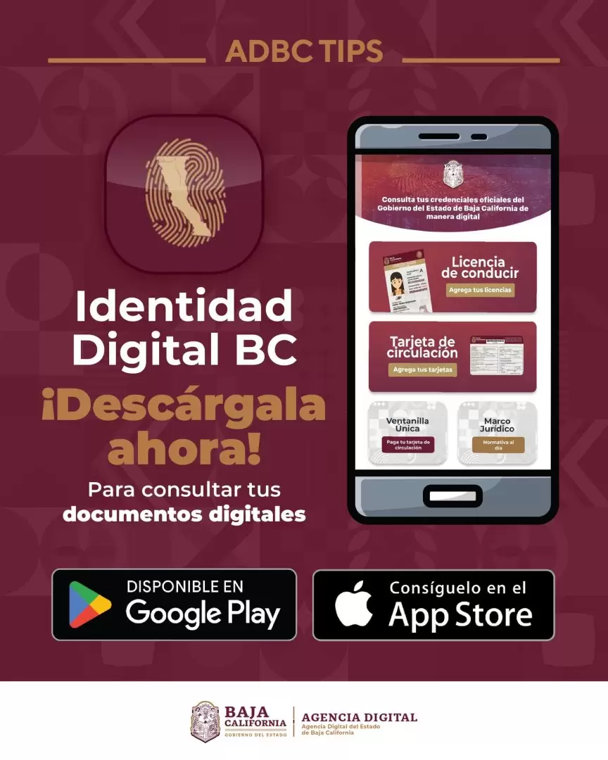 App Identidad digital. En prueba licencias y tarjetas de circulacin digital