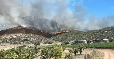 Incendio forestal