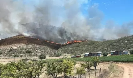 Incendio forestal