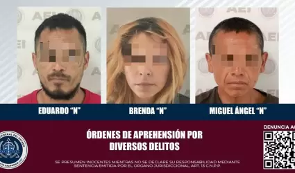 Robo, violencia familiar y dao en propiedad ajena