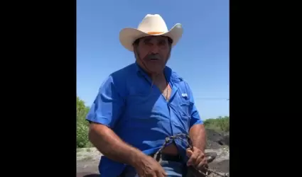 Vaquero