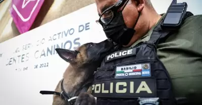 Perros de la polica municipal adiestrados