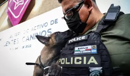 Perros de la polica municipal adiestrados