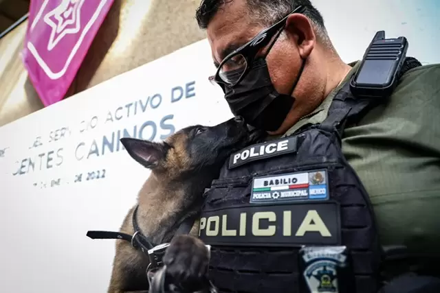 Perros de la polica municipal adiestrados