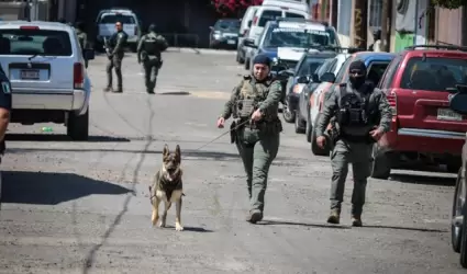 Perros de la polica municipal adiestrados