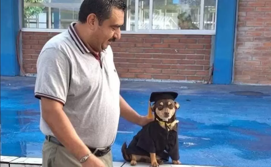 Perrito graduado