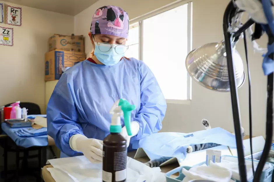 Encabeza Gobernadora Marina del Pilar jornada gratuita de salud y prevencin de rickettsia en zona Este de Tijuana