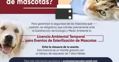 Jornadas de esterilizacion