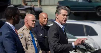 gobernador Gavin Newsom