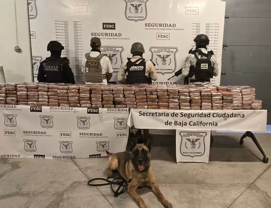 Aseguran ms de 400 kg de cocana en Tijuana