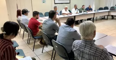 Contin�an reforzando estrategia productores y autoridades para controlar plaga e
