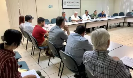 Contin�an reforzando estrategia productores y autoridades para controlar plaga e