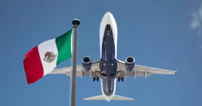 Para viajar en avin dentro de Mxico se necesita pasaporte?