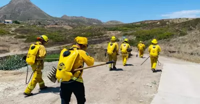 Bomberos Rosarito