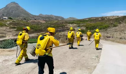 Bomberos Rosarito