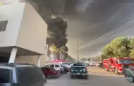 VIDEO: Se registra incendio en predio ubicado en colonia Viedos Casablanca