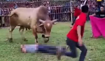 Toro