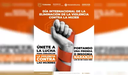 Da Internacional de la Eliminacin de la Violencia contra la Mujer