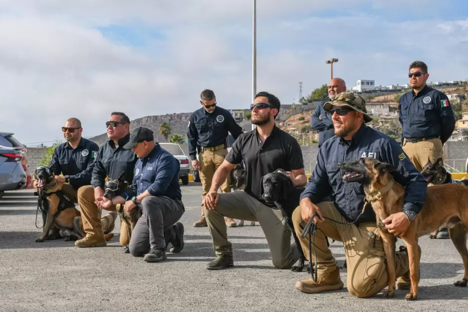 Logra Unidad K-9 de la fiscala de Baja California certificacin internacional