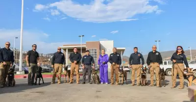 Logra Unidad K-9 de la fiscala de Baja California certificacin internacional