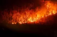 Gobernador Newsom declara estado de emergencia en los condados de Plumas, Butte y Tehama debido a incendios