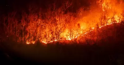 Incendios forestales