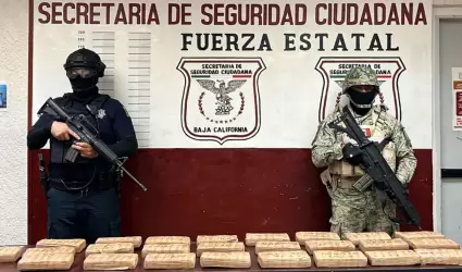 FESC y SEDENA hallan armas de fuego y 26 kilos de cocana en el Valle de Mexical