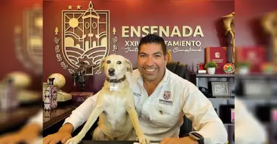 Centro de Atenci�n Canina y Felina (CACyF)