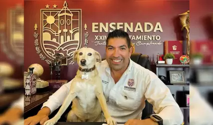 Centro de Atenci�n Canina y Felina (CACyF)