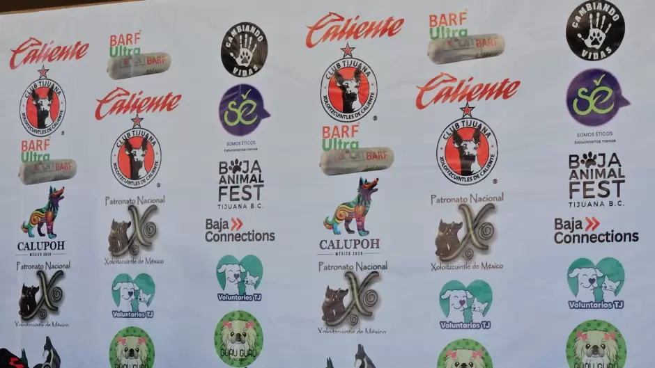 Grupo Caliente proyectar documental sobre el perro lobo mexicano en el Baja Animal Fest