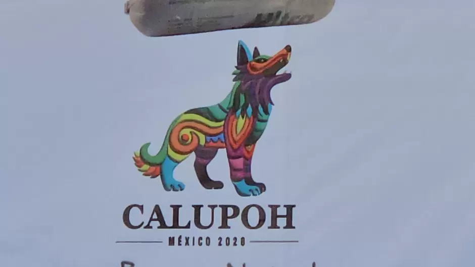 Grupo Caliente proyectar documental sobre el perro lobo mexicano en el Baja Animal Fest