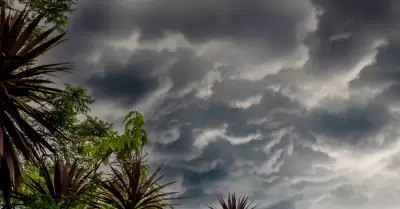 Tormenta tropical