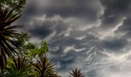 Tormenta tropical