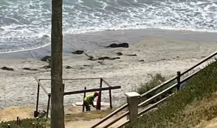 Ocupacin de Playas por Personas no Identificadas Preocupa a Vecinos