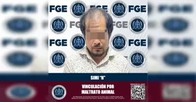 Detenido por crueldad animal