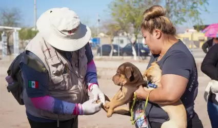 Con m�s de 160 mil acciones m�dicos zootecnistas benefician a bajacalifornianos