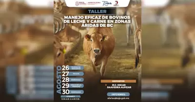 Manejo Eficaz de Bovinos Leche y Carne en Zonas ridas