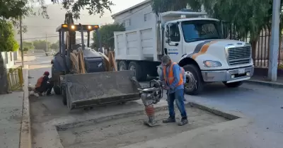 Bacheo en colonias