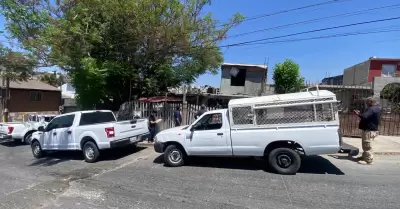 Caninos rescatados por la FGE