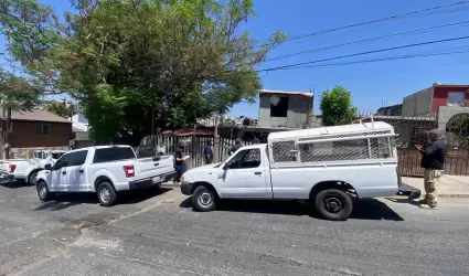 Caninos rescatados por la FGE