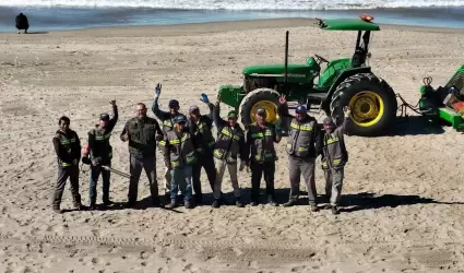 Recolectan 900 toneladas de basura en playas municipales