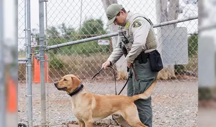 Unidad K-9 de San Diego