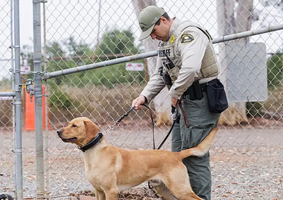 Unidad K-9 de San Diego