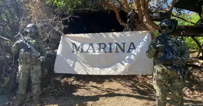 Marina localiza, asegura e incinera plantos de marihuana