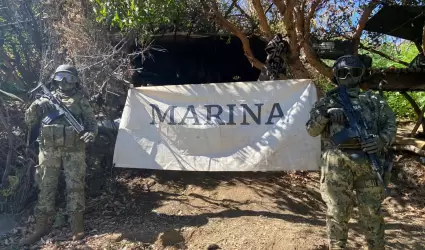 Marina localiza, asegura e incinera plantos de marihuana