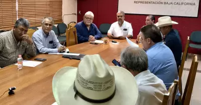 Buscan autoridades y productores alternativas para el nuevo ciclo triguero en el