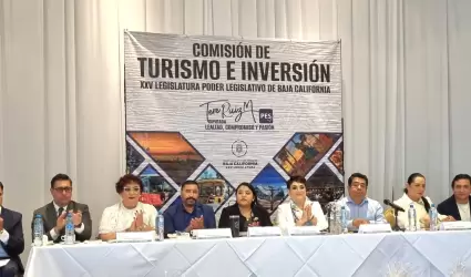 Comision de Turismo e Inversion