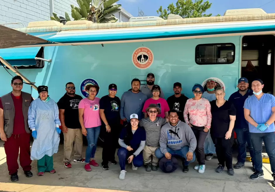 Esterilizacin de mascotas en Maneadero