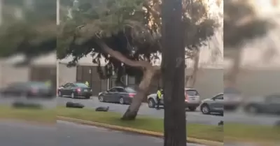 Continan cobros ilegales en la fila de cruce en San Ysidro a pesar de anuncios 