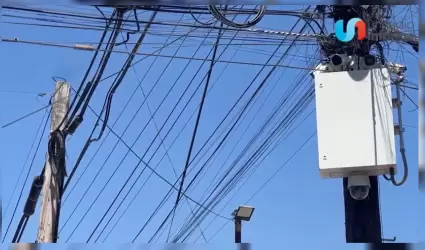 CFE repara 122 postes derribados en Tijuana por accidentes y cables mal colocado